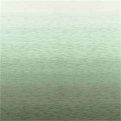 RX 4000 Privacy Curtain Fabric